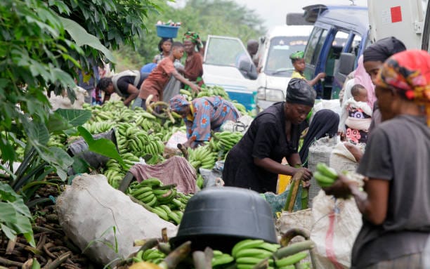 Top African Countries with Food Security in 2024