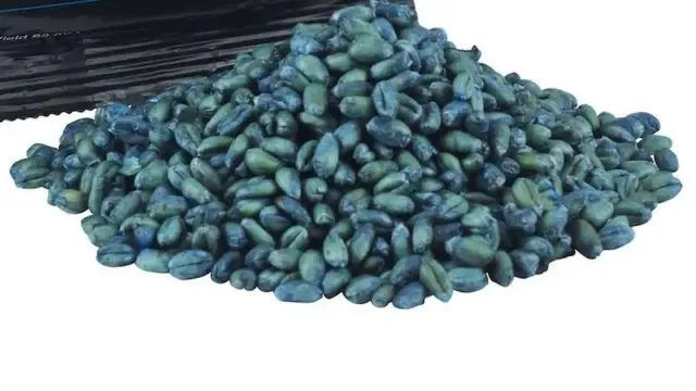 Children in South Africa Hospitalized after Mistaking 'Rat Poison' for Sweets