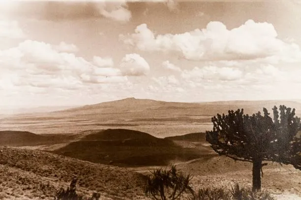Massive Rift Valley Cracks Threaten Homes and Farms in Kenya