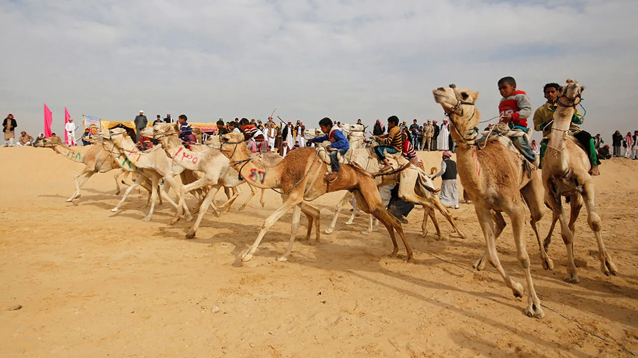 In Somalia, Camel racing draws thousands of spectators who travel long distances to witness the events. [Photo: File]