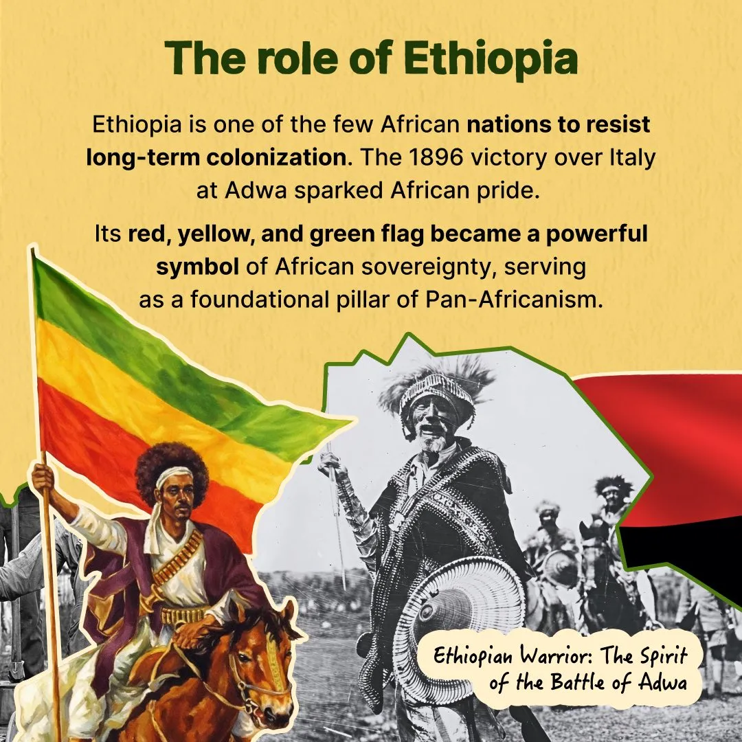 African History Books for Students, Scholars, and Readers