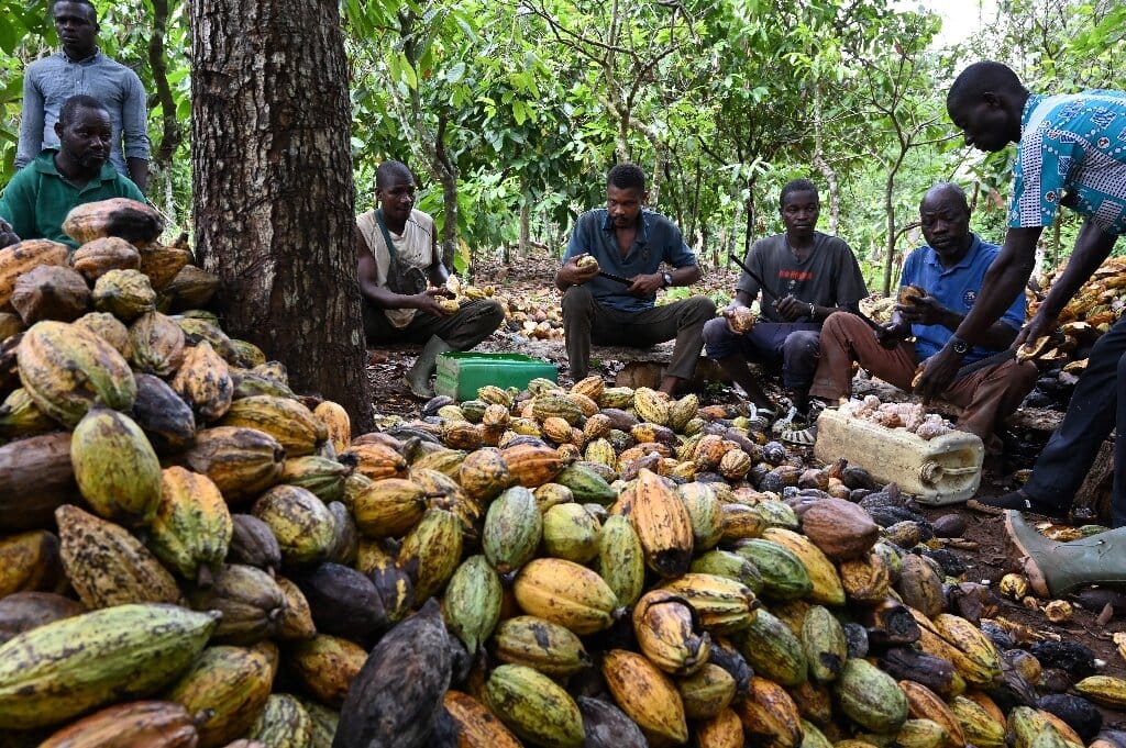 Ivory Coast at 'War' with Cocoa Buyers