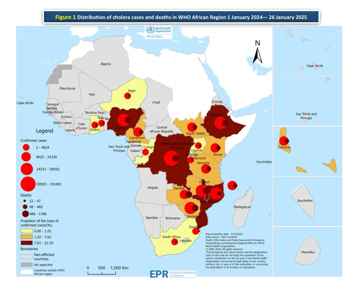 Top 10 African countries with the highest rates of Cholera as of early 2025