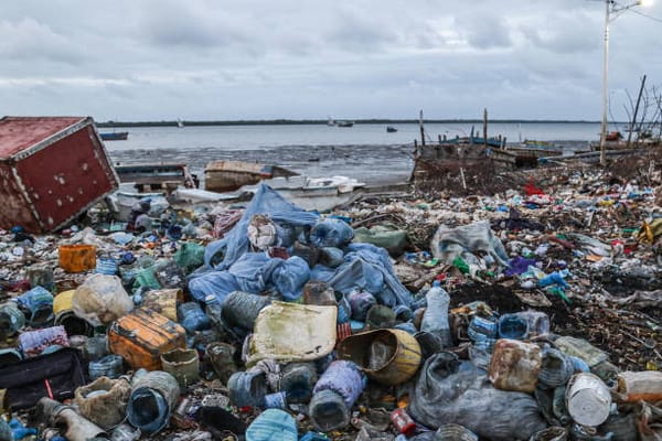 Kenya Expands Plastic Ban to Include Organic Waste Disposal Bags