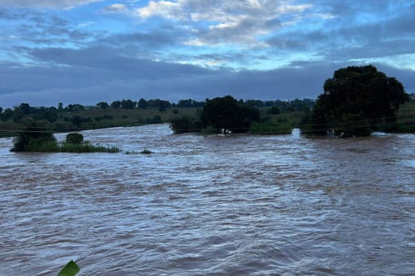 Early Rains in Niger Claim 21 Lives, Expose Thousands to Hardship as Climate Change Intensifies