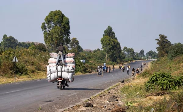 Conflict-Driven Deforestation Devastates Mount Nyiragongo Slopes in DRC