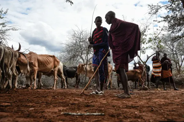 Tanzania Faces Backlash Over Forced Maasai Evictions for Conservation