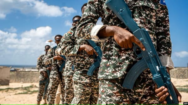 Twelve Killed in Somalia Clash Over Illegal Weapons from Ethiopia