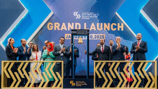 Top 10 African Countries with the Highest Domestic Investor Participation 2025