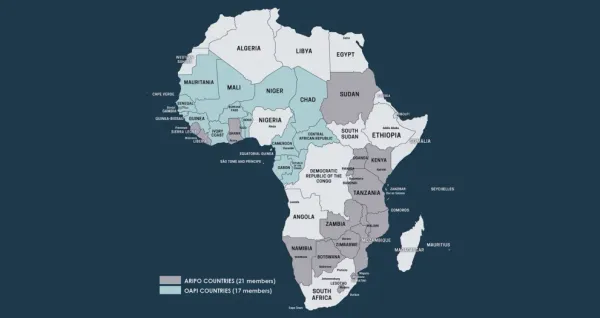 Top 10 African Countries by Patents in 2025